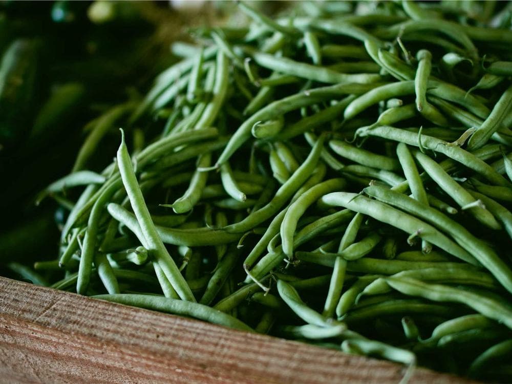 Home-cooked meal, no recipe, Södermalm · Stockholm