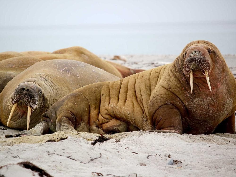 View from the new apartment, Shoreditch · London