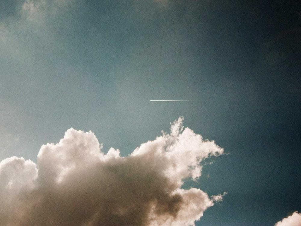 My balcony herb garden, finally thriving, Bandra · Mumbai